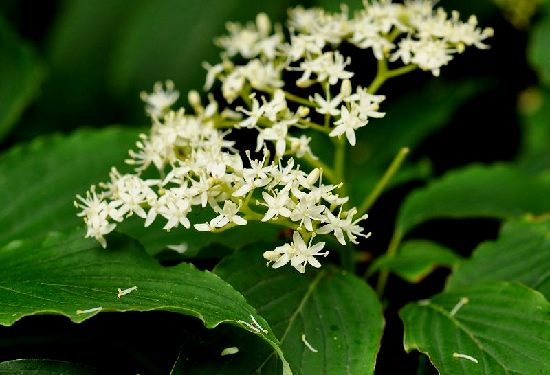 燈臺(tái)??1.jpg 燈臺(tái)??1.jpg